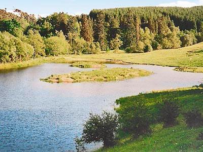 Вілла Forget Me Not - Skkz Dalmellington Екстер'єр фото